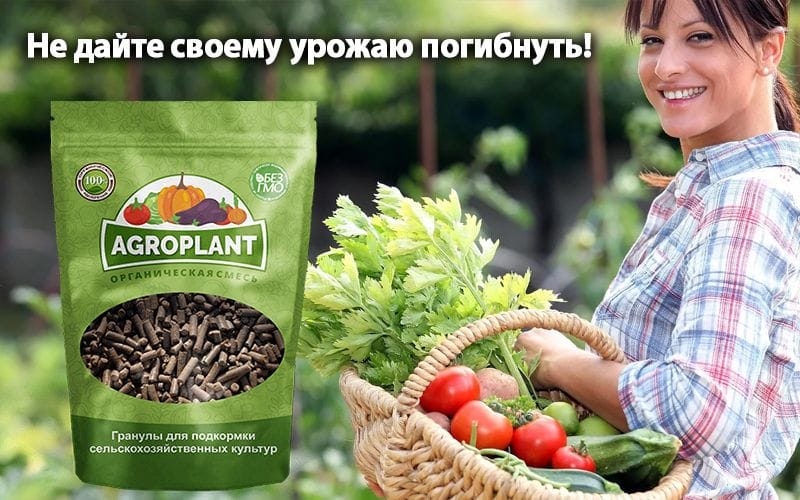 Agroplant