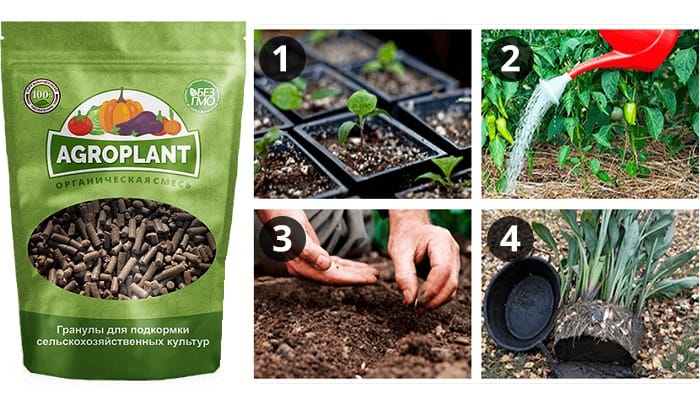 Agroplant комплексное гранулированное биоудобрение: увеличивает урожай и скорость созревания!