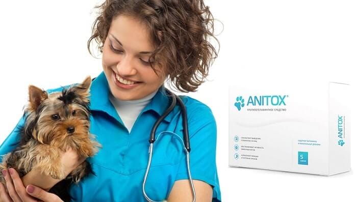 Anitox для домашних животных от паразитов: обладает мягким щадящим действием!