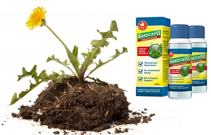 БиоГард биогербицид защита от сорняков: надежно защитит ваш приусадебный участок!