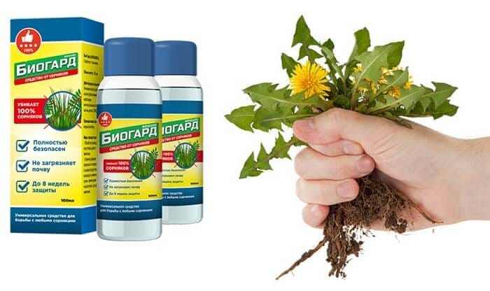 БиоГард биогербицид защита от сорняков: биологически безопасный, нетоксичный гербицид!