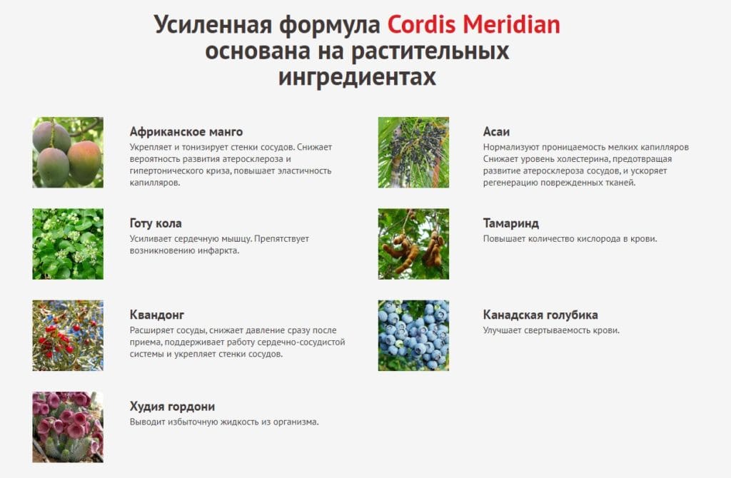 состав капсул кордис меридиан