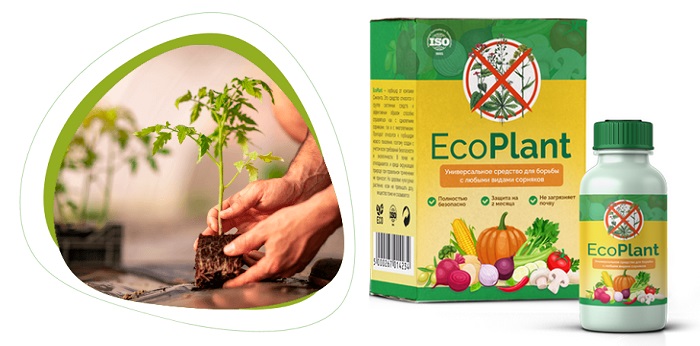 Eco Plant защита от сорняков: эффективный биогербицид нового поколения!