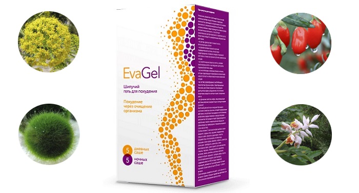 EvaGel для похудения: эффективен при любом весе и в любом возрасте!
