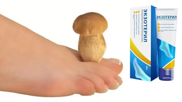 Экзотерил противогрибковый препарат от грибка стопы и ногтей: инновационный метод борьбы с грибковыми образованиями!