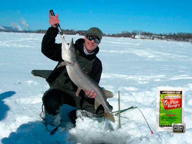 fishhungry зимний цена
