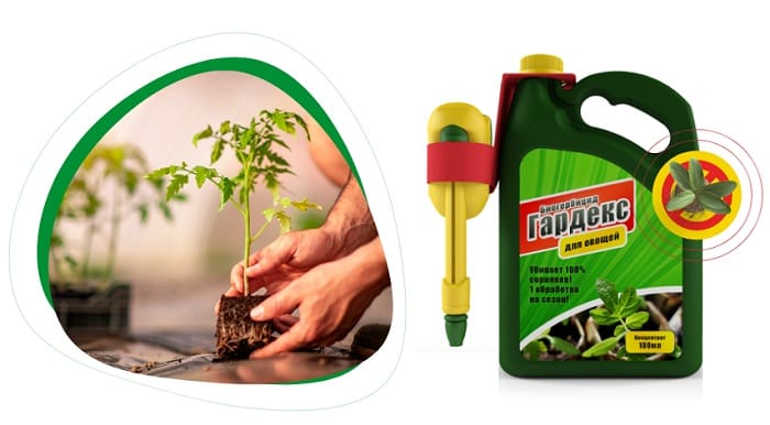 ГАРДЕКС биогербицид средство от сорняков: подарит вашему земельному участку гарантированную защиту!