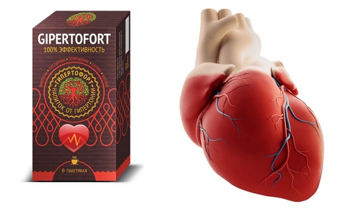 Gipertofort от гипертонии: улучшает состояние сердечно-сосудистой системы!