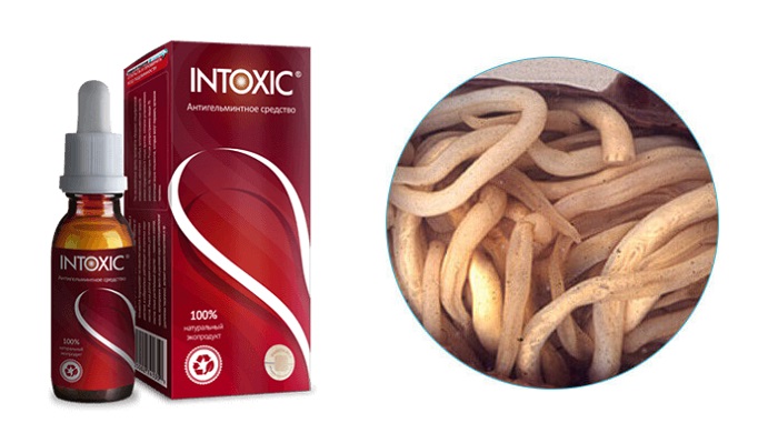 Intoxic от паразитов: навсегда избавьтесь от глистов за 1 месяц!