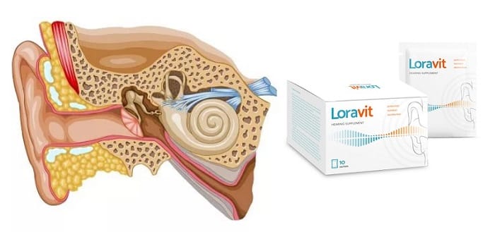 Loravit для восстановления слуха: верните остроту слышимости звуков!