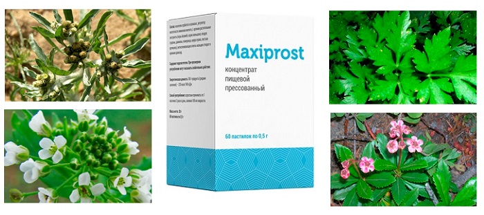 MaxiProst от простатита: для эффективного восстановления потенции всего за 1 курс!