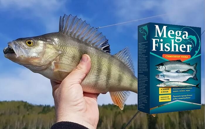 MEGA FISHER стимулятор улова для рыбалки, универсальная приманка для всех видов рыб: богатый улов вне зависимости от удачи!