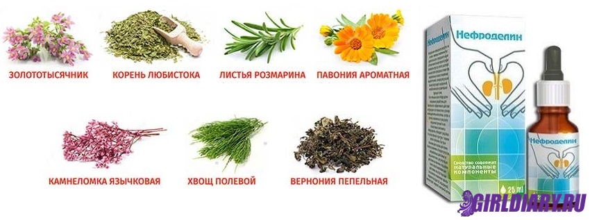 Входящие растительные ингредиенты и их функции