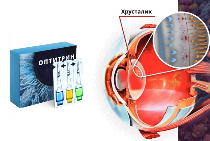 Оптитрин для восстановления зрения: вы сможете отказаться от очков и линз!