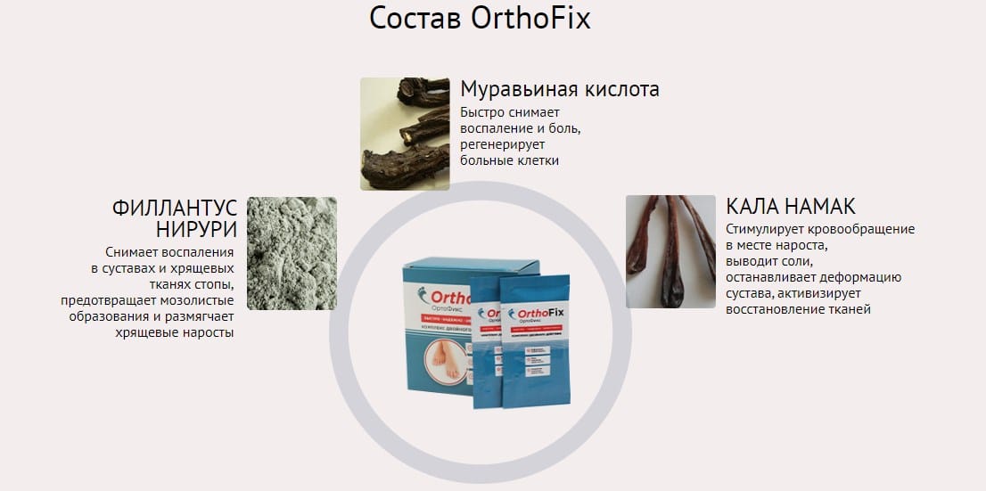 Ортофикс продукт