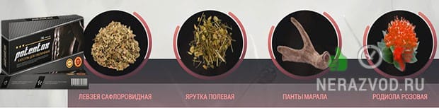 проблемы с потенцией и эрекцией