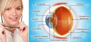 защита сетчатки глаза