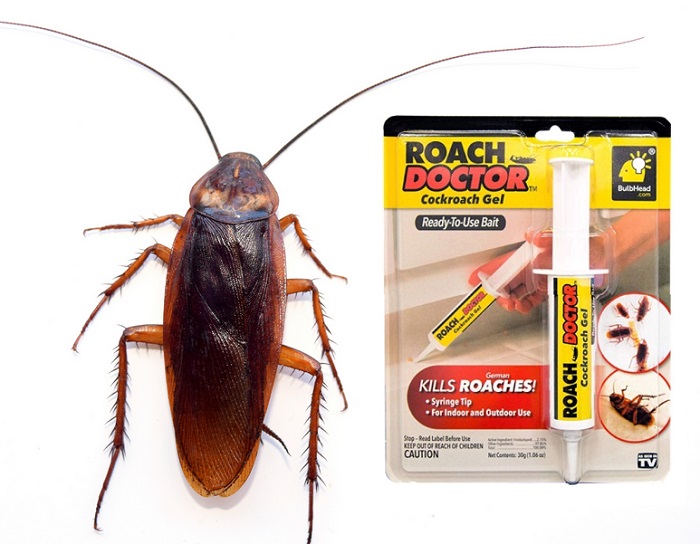 Roach Doctor от тараканов: убивает патогенную флору и насекомых всего за одно применение!