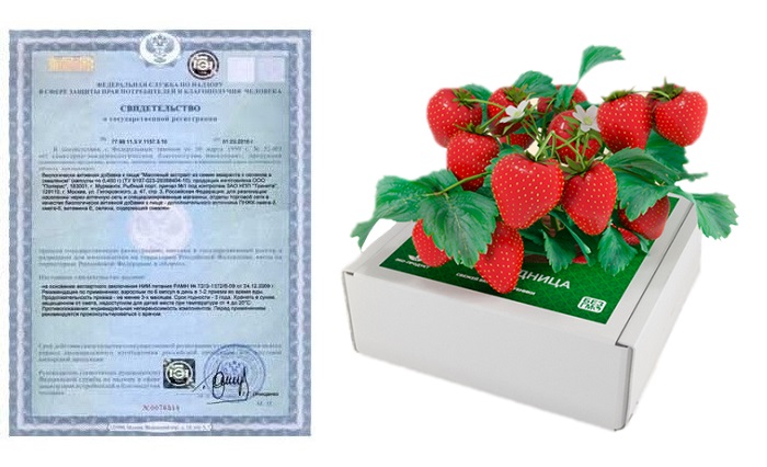 Домашняя ягодница сказочный сбор для выращивания клубники: экологическая чистота продукта гарантирована!