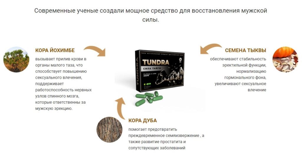 «Тундра» — инструкция по применению и состав препарата