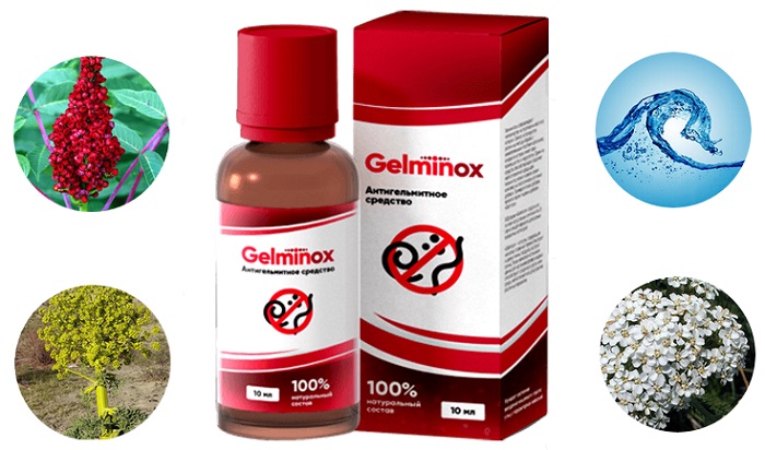 Gelminox средство от паразитов: избавляет от гельминтоза за один курс применения!