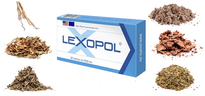Lexopol капсулы для потенции: забудьте о проблемах в интимной жизни!