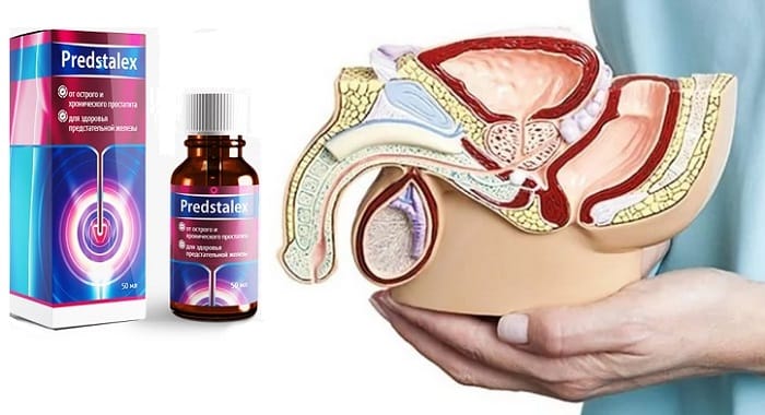 Predstalex от простатита: мужское здоровье в полном порядке всего за 1 курс применения!